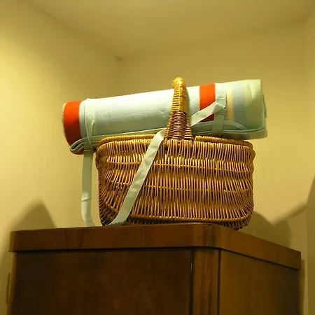 Stylove Podkrovni Apartmany Ostrava Острава