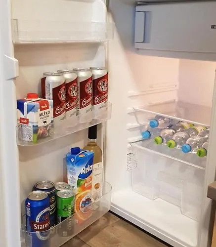 Stylové Podkrovní Apartamento